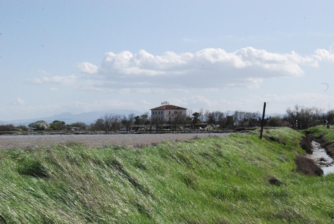 Hotel Ficocle Cervia Esterno foto